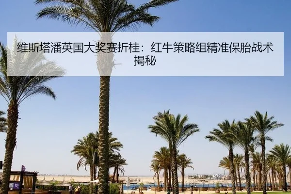 wei-si-ta-pan-ying-guo-da-jiang-sai-zhe-gui-hong-niu-ce-lve-zu-jing-zhun-bao-tai-zhan-shu-jie-mi-3-930.jpg