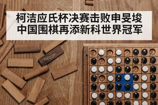 柯洁应氏杯决赛击败申旻埈中国围棋再添新科世界冠军