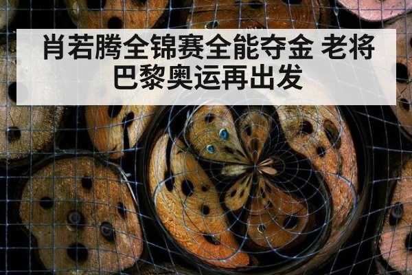 肖若腾全锦赛全能夺金 老将巴黎奥运再出发